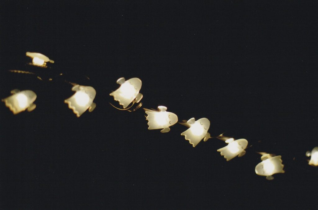 Dušek, halloween string lights