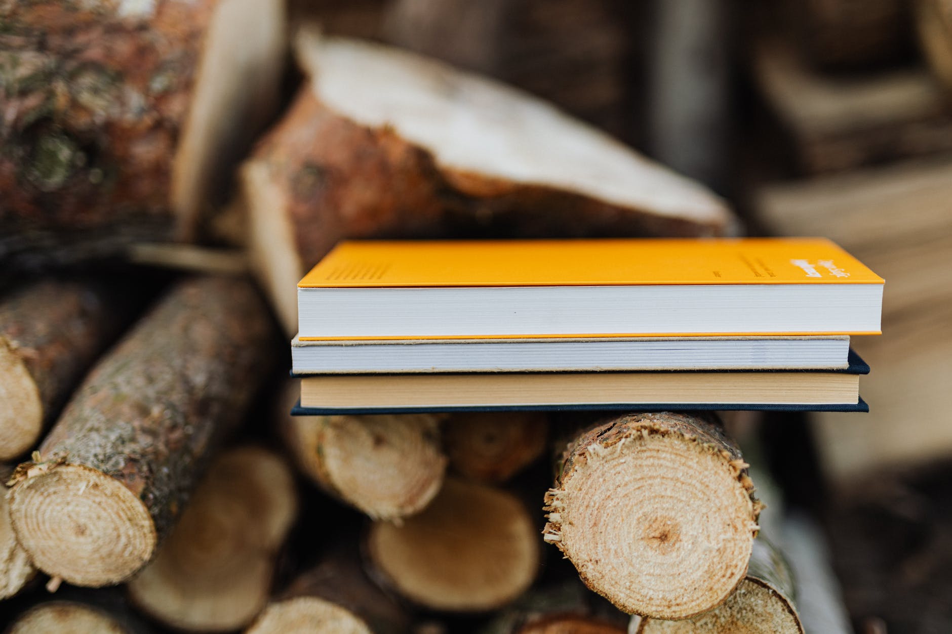 tri najinteligentnija znaka Zodijaka

books on wood stack in rural backyard