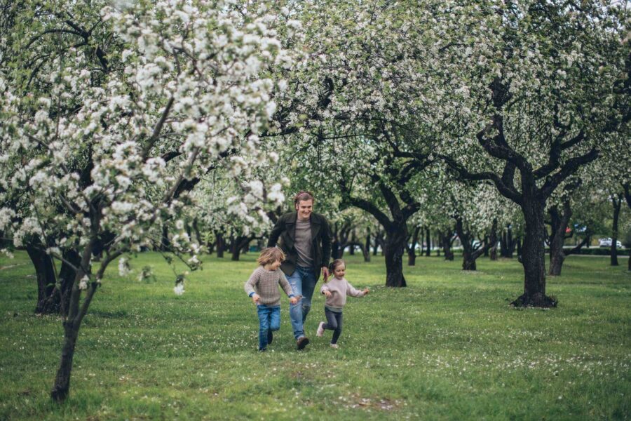 horoskop za naredno tromjesečje