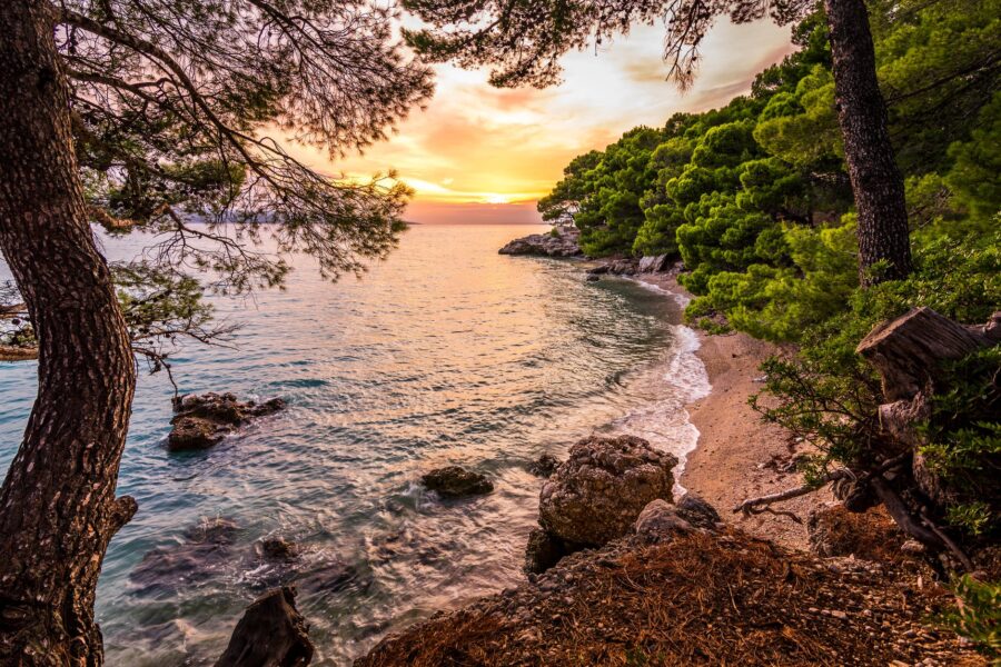 Jupiter u Biku Tjedni horoskop po znakovima, body of water near forest