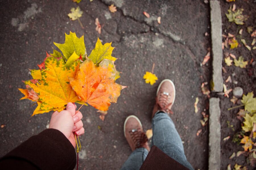 Tjedni horoskop, person holding maple leaves
