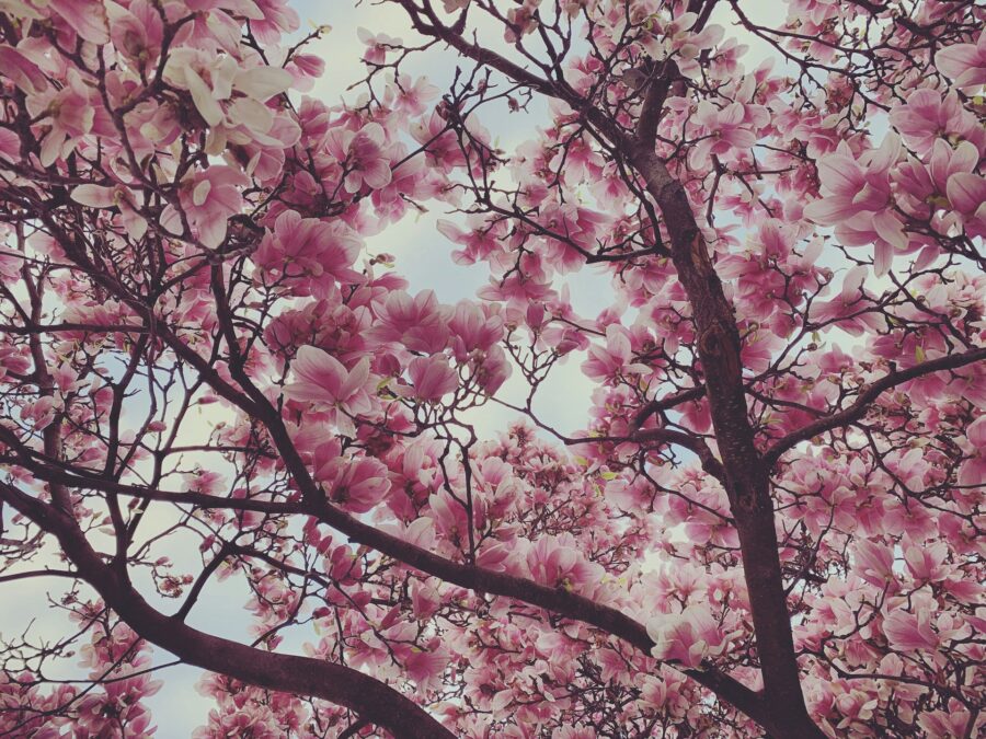 Tjedni horoskop do10.03.