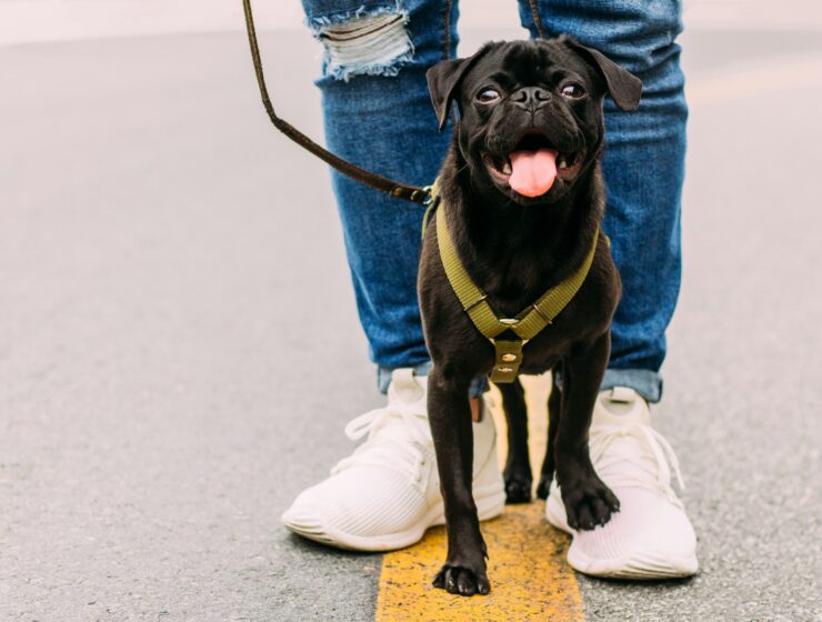 Drugi tjedan travnja