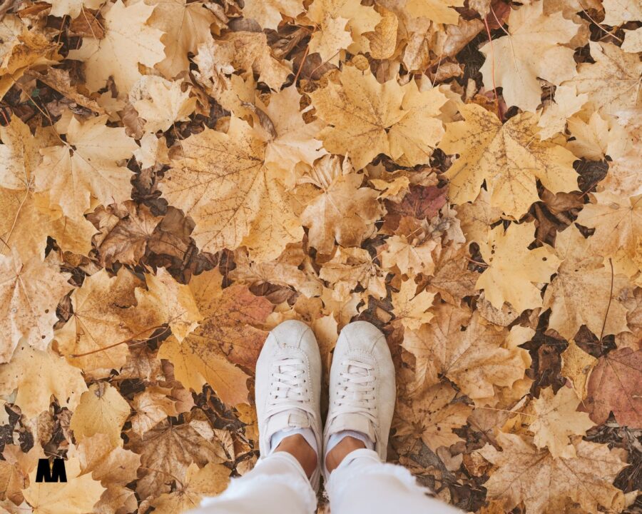 Tjedni astro 29.9.-5.10. Tjedne astrološke smjernice