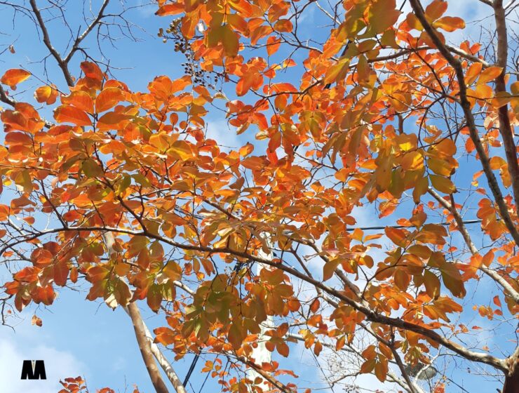 Tjedni horoskop: 3. – 9. studenoga 2025. Posljednji dani listopada