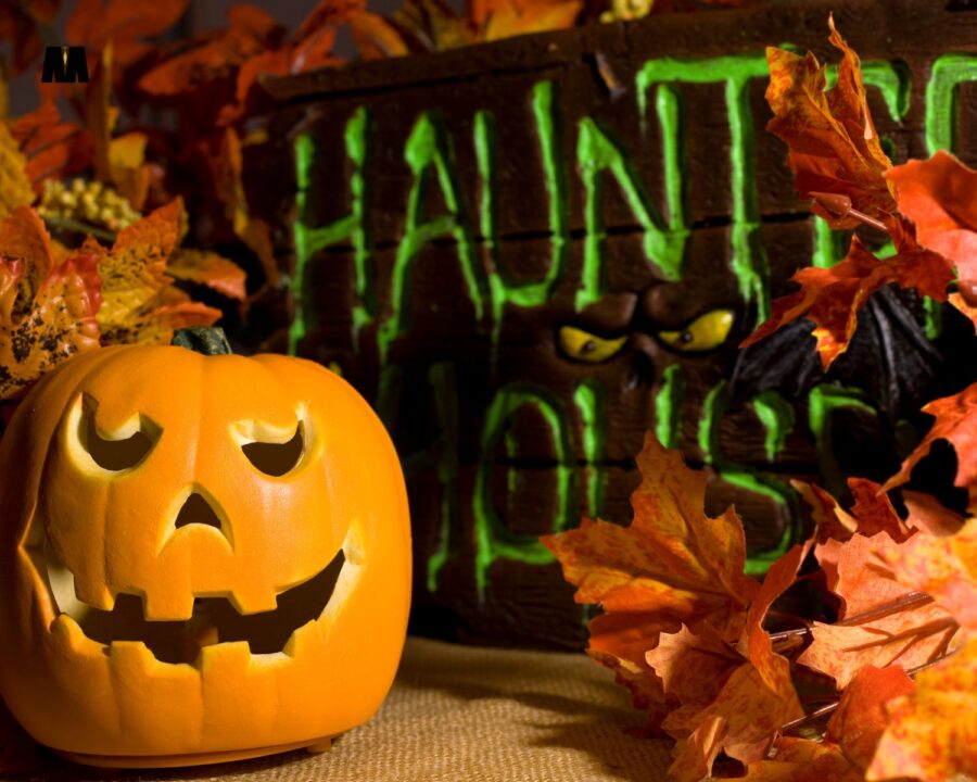 Ukleta kuća na kraju ulice