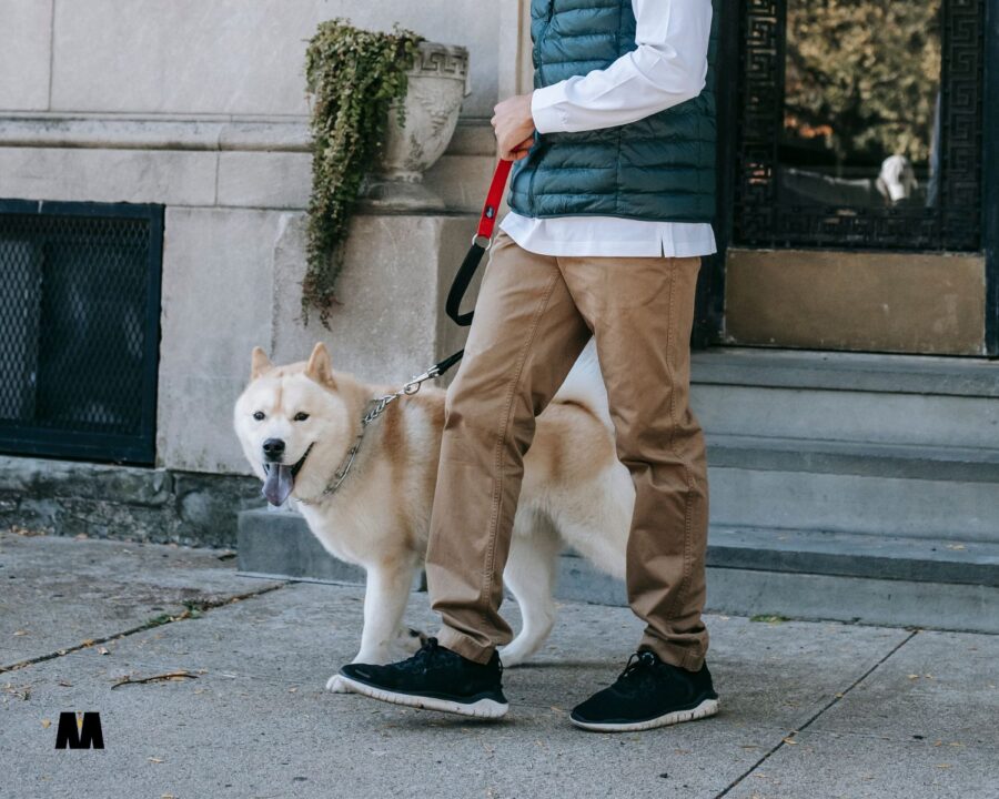 Prvi tjedan studenog