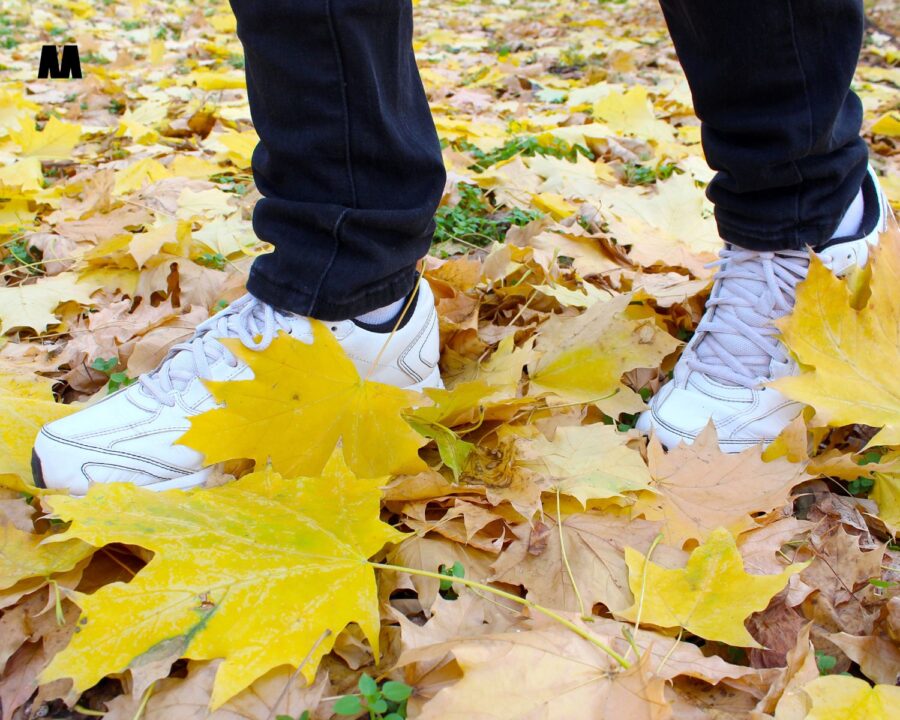 Tjedni horoskop 13.-19.10. Zvijezde govore