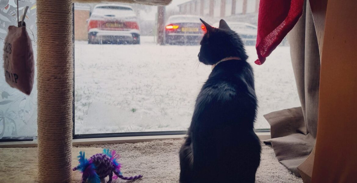 Tjedni astro od 17.-23.11. prava zima,