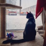 Tjedni astro od 17.-23.11. prava zima,