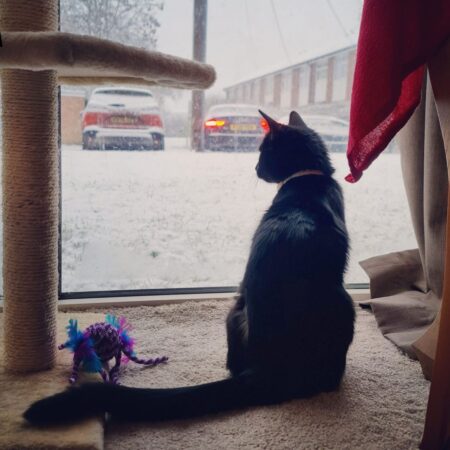 Tjedni astro od 17.-23.11. prava zima,