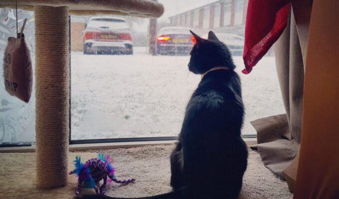 Tjedni astro od 17.-23.11. prava zima,