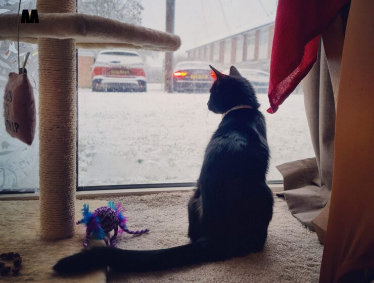 Tjedni astro od 17.-23.11. prava zima,