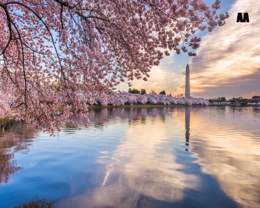 Tjedni horoskop: 17. – 23. ožujka