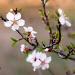 tjedni horoskop 16.03. – 22.03. 2026 Tjedni horoskop 24. – 30. ožujka