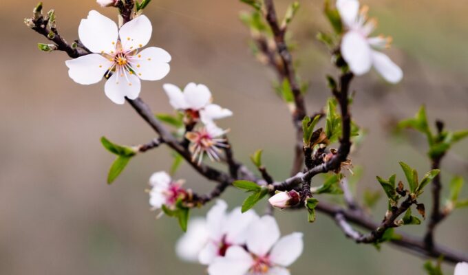 tjedni horoskop 16.03. – 22.03. 2026 Tjedni horoskop 24. – 30. ožujka