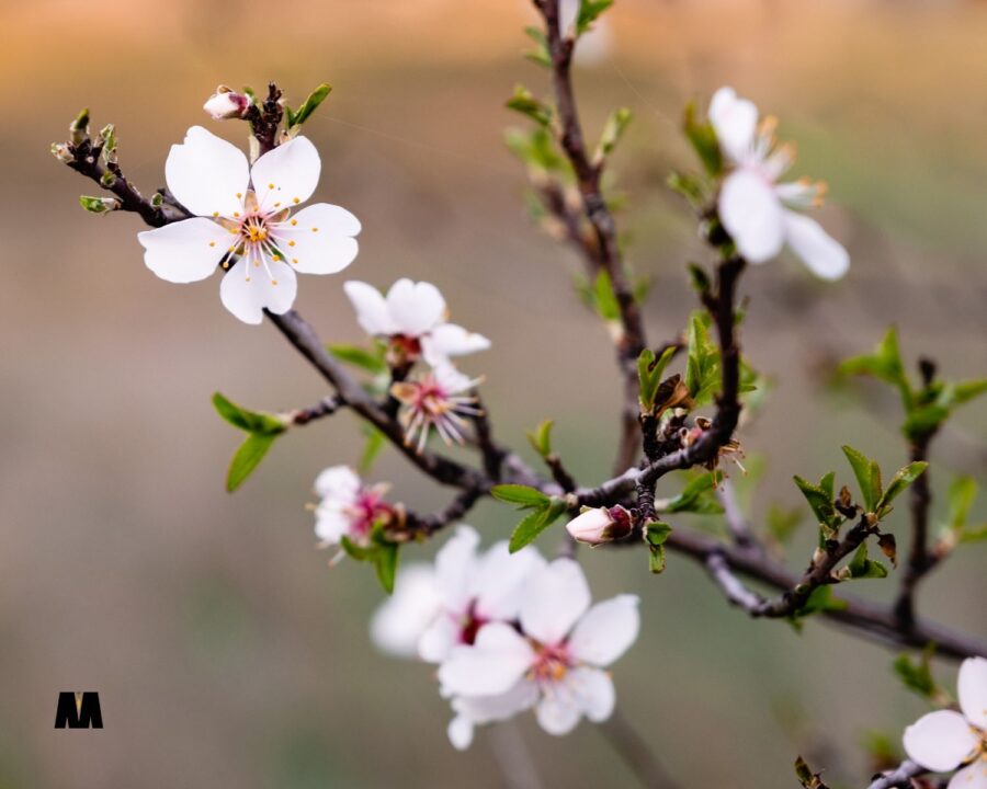 tjedni horoskop 16.03. – 22.03. 2026 Tjedni horoskop 24. – 30. ožujka