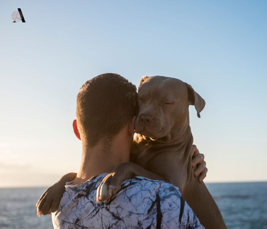 Muški horoskop za travanj