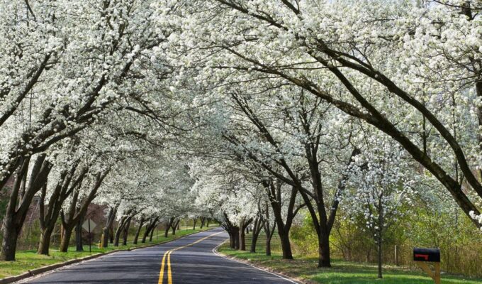 tjedni horoskop 23.03. – 30.03. 2026 tjedni horoskop (31.03. - 06.04.)