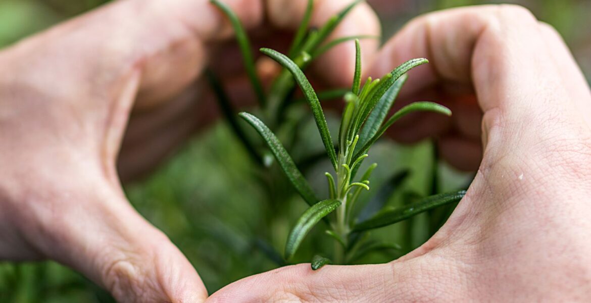 Tjedni horoskop od 27.04. do 03.05. tjedni horoskop 13. – 19.04. Vrtlarenje