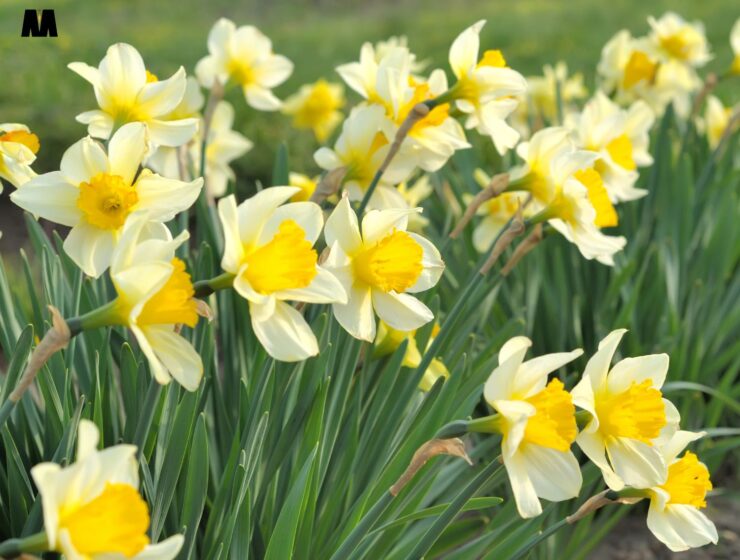 Tjedni horoskop 07. – 13. travnja