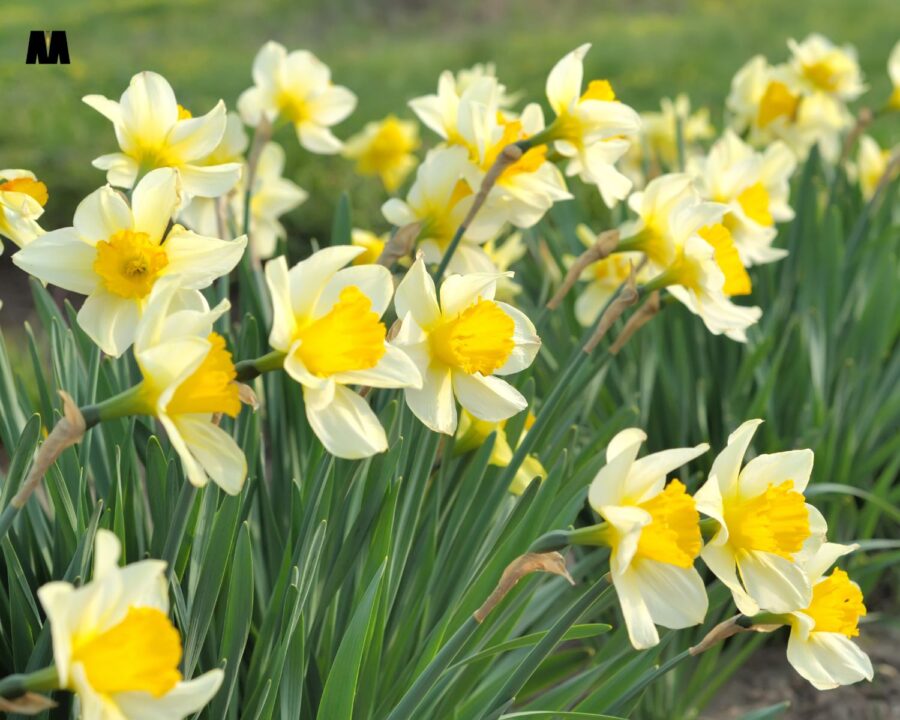 Tjedni horoskop 07. – 13. travnja